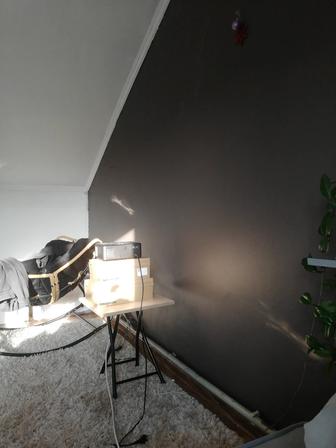 Покраска и левкас