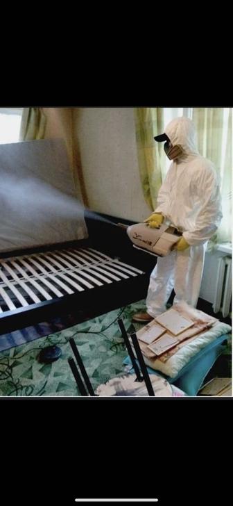 Дезинфекция Дезинсекция Дератизация