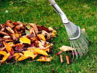 Уборка двора