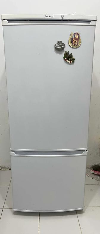 Холодильник Бирюса