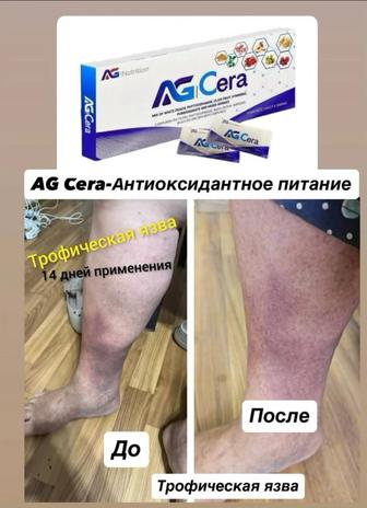 Клеточное питание