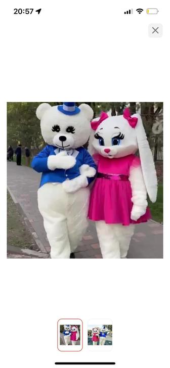 Прокат мишка и зайчик