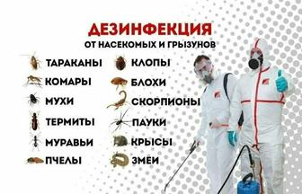 Дезинфекция от клопов, тараканов, блох. Гарантия!
Договор! Результат 100%