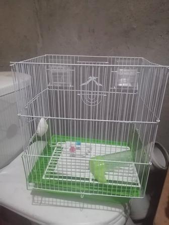 Продам клетку для попугая, купили не пользовались