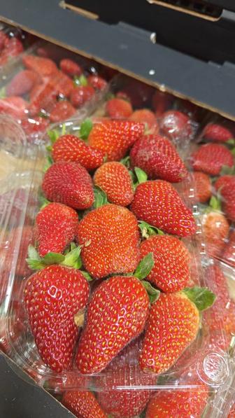 Клубника Египетская