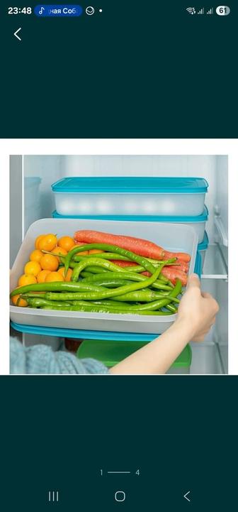 Контейнеры для заморозки и хранения продуктов от Tupperware