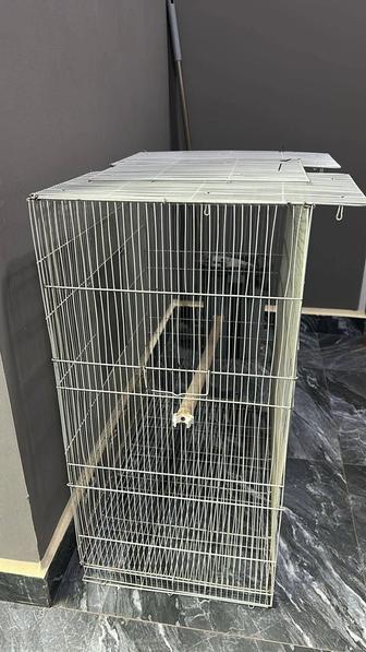Клетка для животных