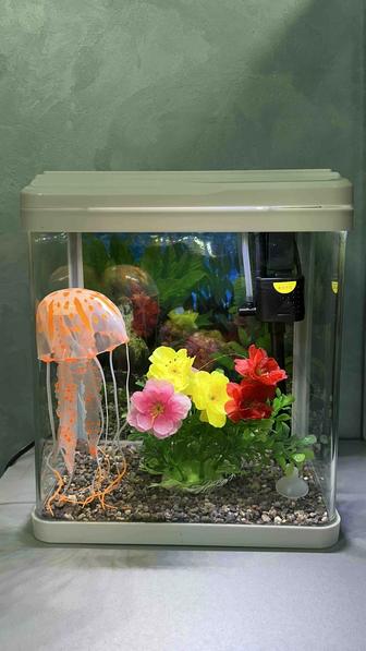 Аквариум 10 л для петушка (Betta)