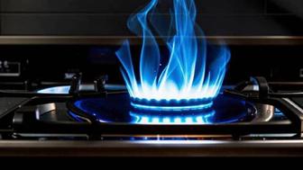 Ремонт газовых плиты и котел