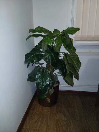 Искусственные деревья, расстения г. Алматы (район Саяхата)