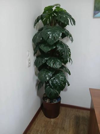 Искусственные деревья, расстения г. Алматы (район Саяхата)