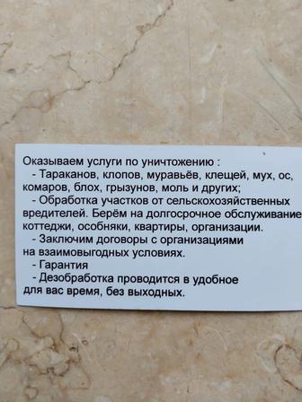Дизенфекция