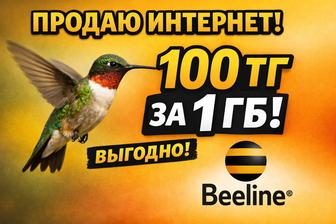 Гигабайты Гб Билайн