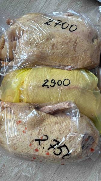 Продам тушки уток