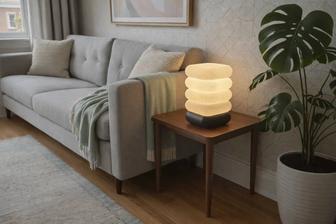 Настольная лампа (Дизайнерский светильник)