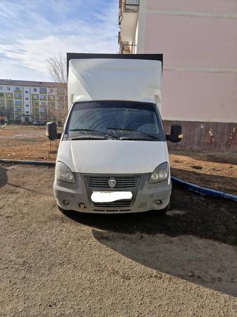 Газел қала ішіне жалданамын