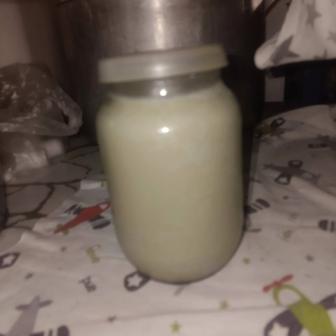 Гусиный жир топленый свежий