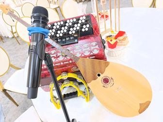 Музыкант Домбра Баян Музыка Апаратурасы Асаба Тамада Мини Шаңырақ