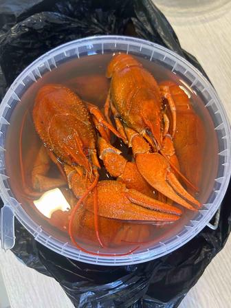 Продаю крупных раков