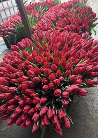 Тюльпаны,Цветы доставка оформление в подарок!