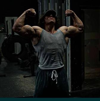 Услуги грузчики и газель