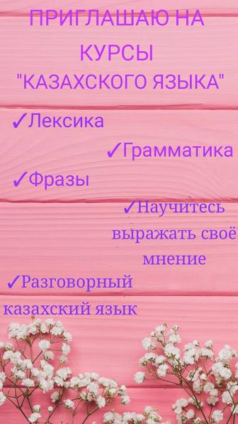 Образование