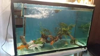 Аквариум300литров полный комплект