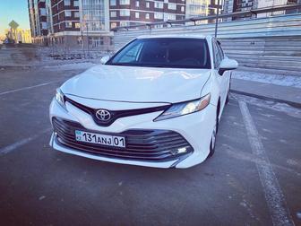 Аренда авто