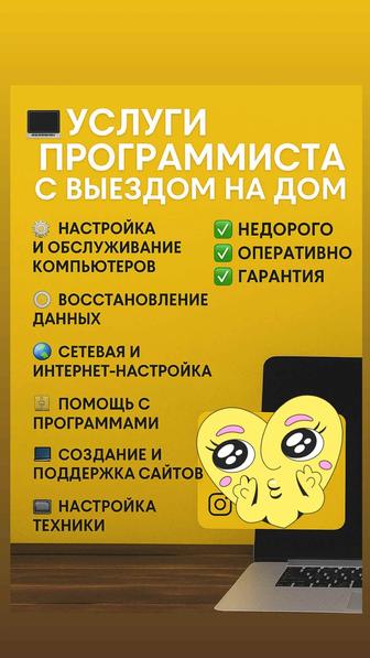 Услуги программиста с выездом на дом