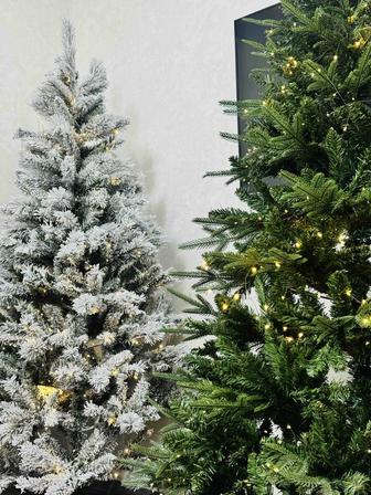 Продам премиальные елки