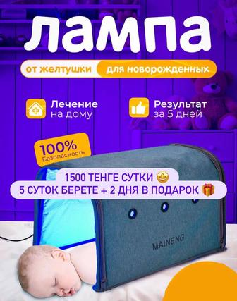 Аренда Фотолампа