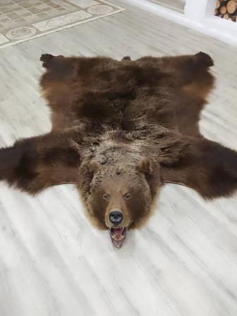 Заголовок Хозяин Тайги в вашем интерьере Элитная шкура медведя