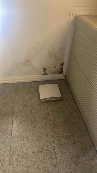 Штукатур маляр