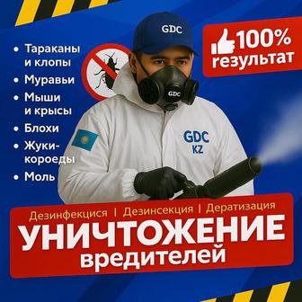 Уничтожение клопов, тараканов и других насекомых