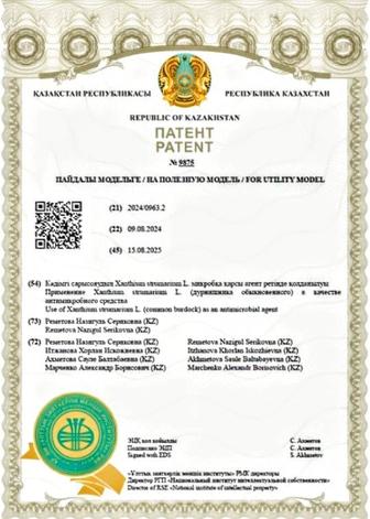 Регистрация патентов, авторских прав, товарных знаков и полезной модели