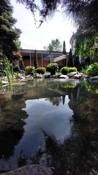 Пруды,водоемы,водопады,водные растения