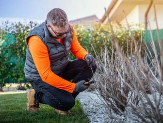 Сад, огород, работы на вашем участке