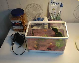 Черепашки с аквариумом и комплектом для ухода