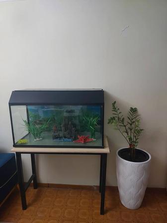 Аквариум 250л, декорациями, тумбой