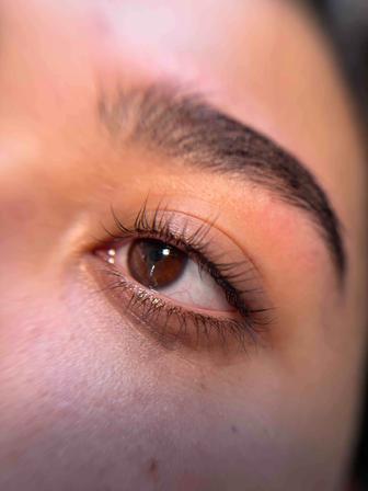 Ламинирование бровей и ресниц, коррекция окрашивание бровей