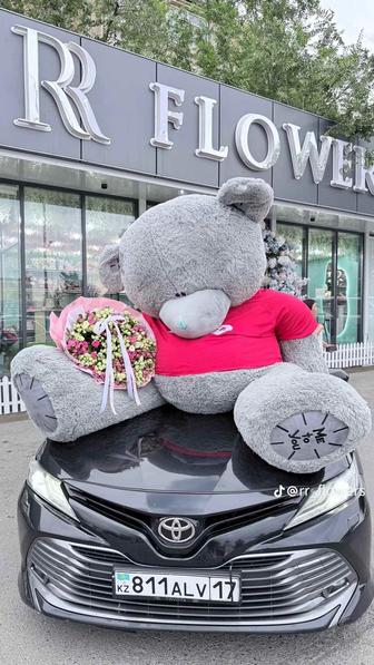 Продам Мишку TEDDY