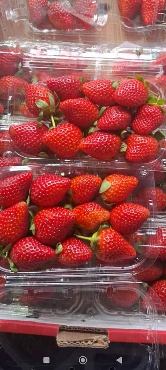 Свежая отборная клубника Египет