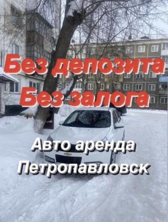 Авто в аренду