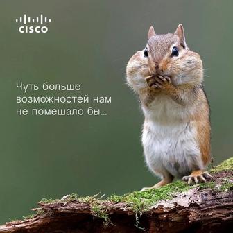 Сайты и IP телефония(Cisco)