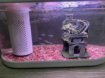 Xiaomi Geometry Fish Tank C180 8л (б/у)
аквариум