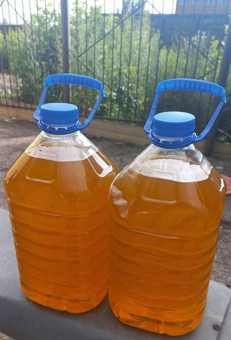 Продам свежий Алтайский мёд
