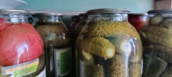 Продам огурцы