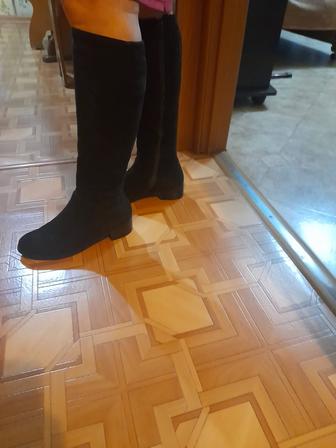 Сапоги замшевые