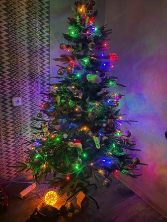 Продам елку