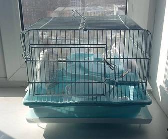 Клетка для хомячка